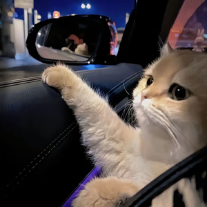 小🐔🐔伸进🈲🔞🔞秒看
